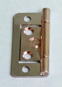 Charni&egrave;re plate (50mm.-Chrome) 2 pi&egrave;ces
